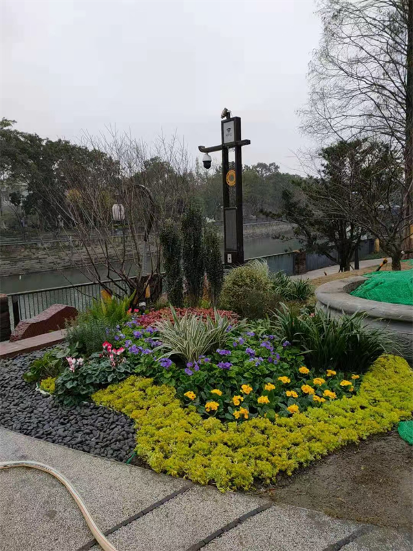 重庆公园花境打造